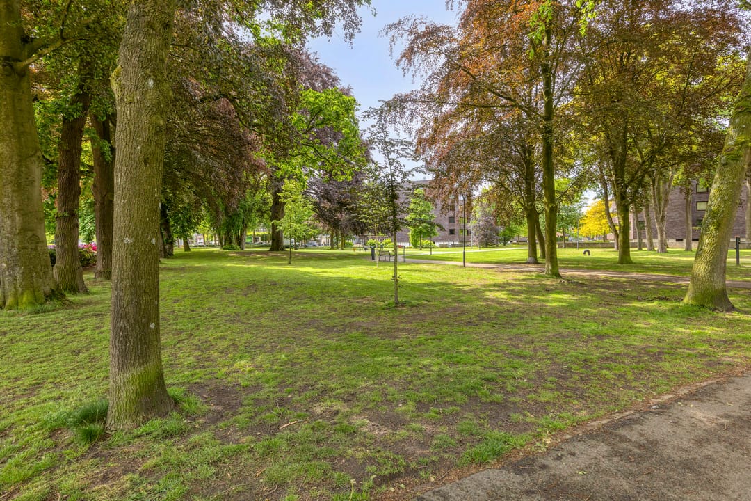 Unique and spacious corner home in the heart of Valkenswaard — 28