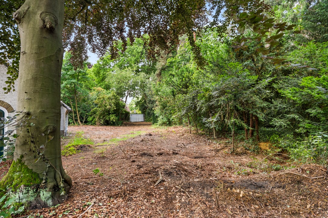 Vrijstaande woning in het groen met ontelbare mogelijkheden — 38