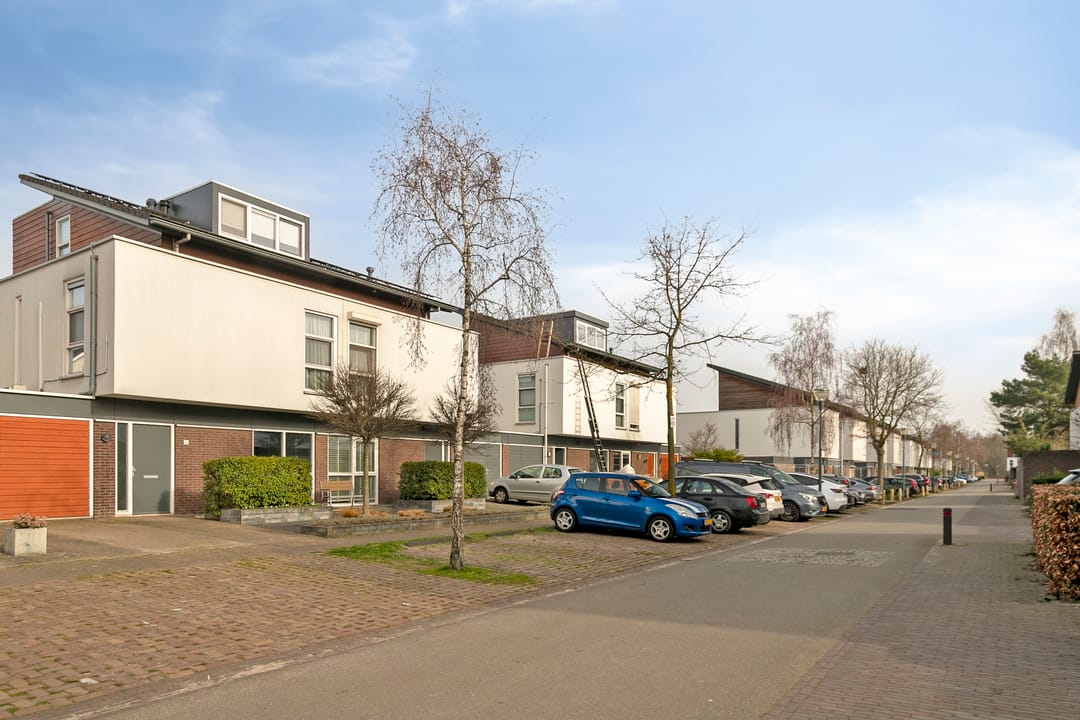 Foto 46 van Zandkrab 36