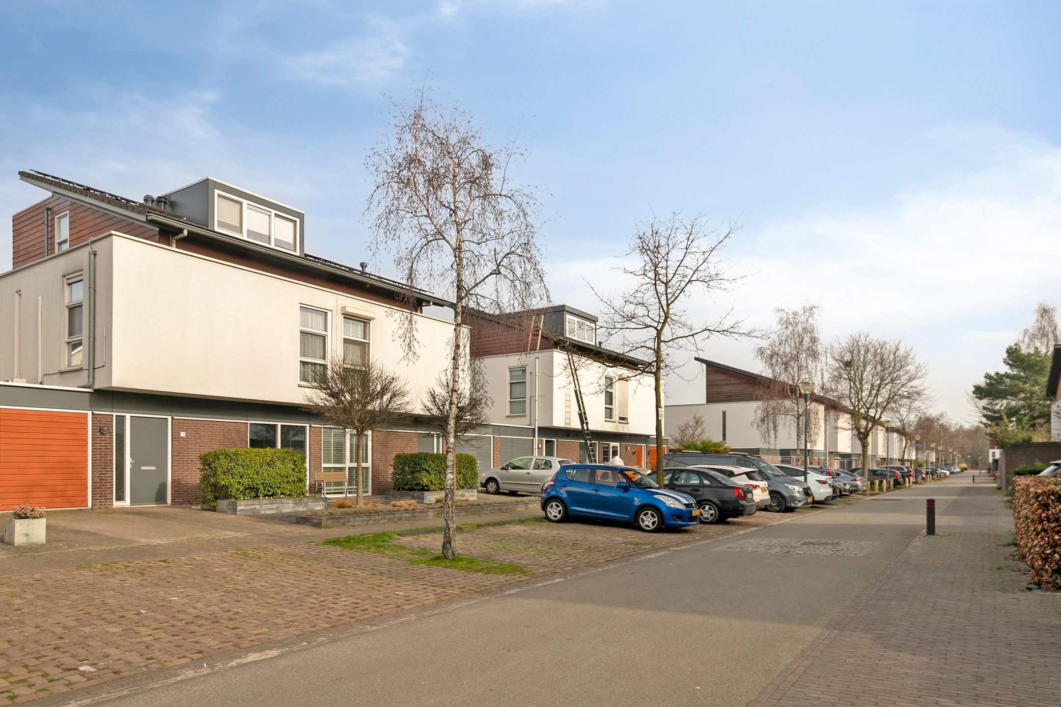 Foto 48 van Zandkrab 36
