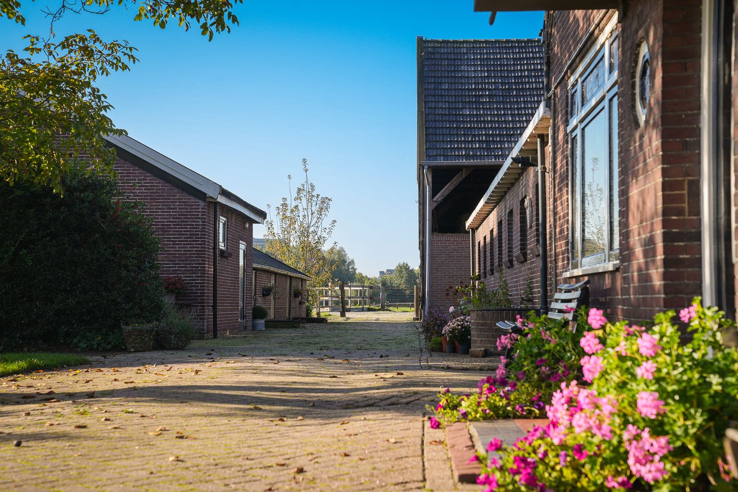 Foto 4 van Universiteitsweg 10
