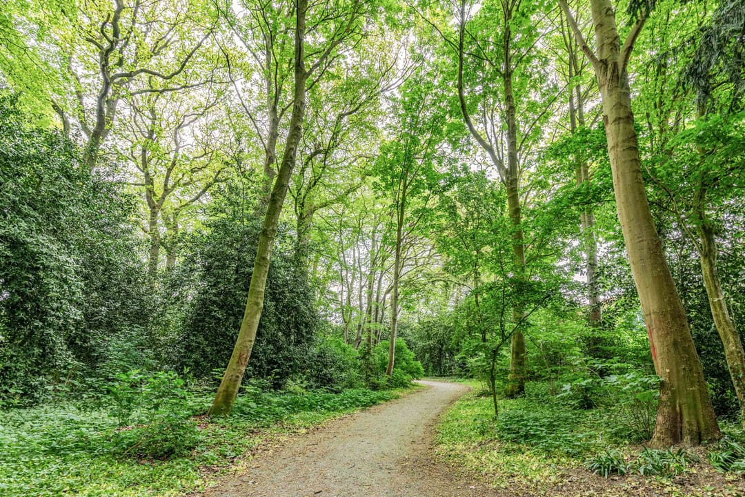 Photo 37 of Bernhardlaan 39
