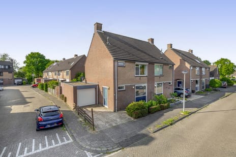 Dallelaan thumbnail