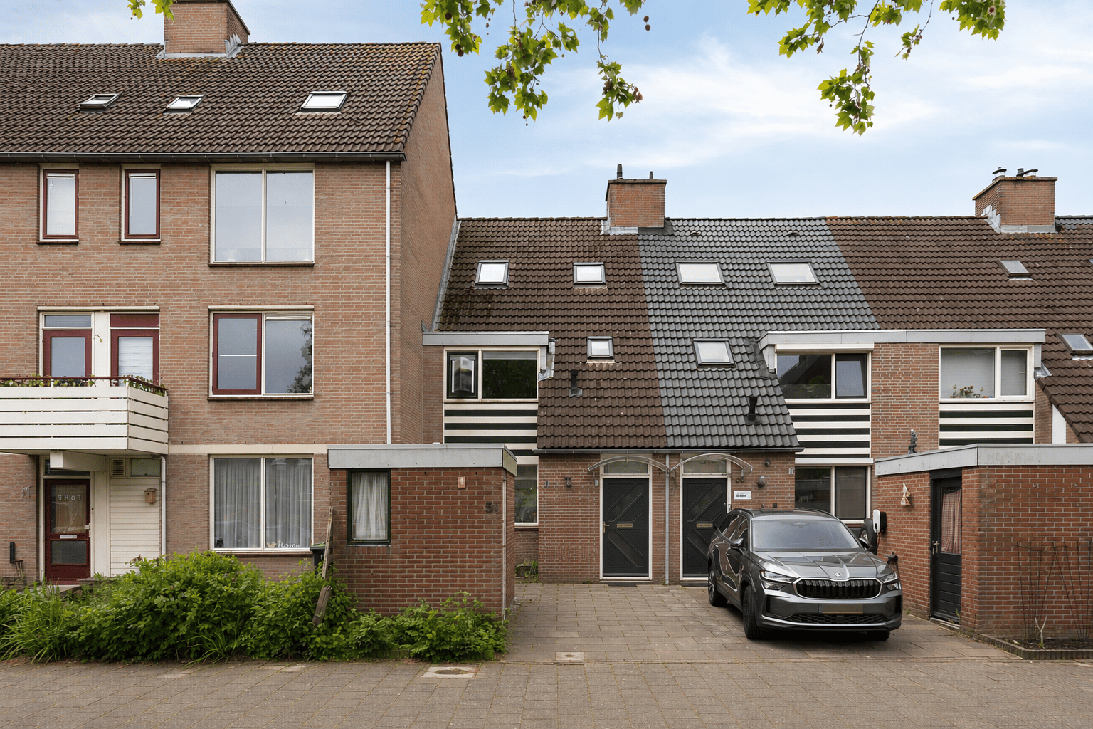 Rietgors 51 