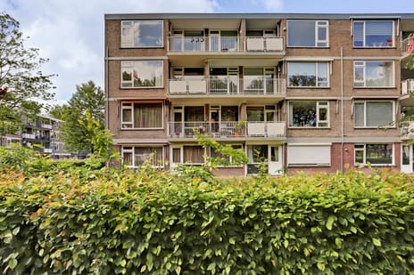 Vredeman de Vriesstraat thumbnail