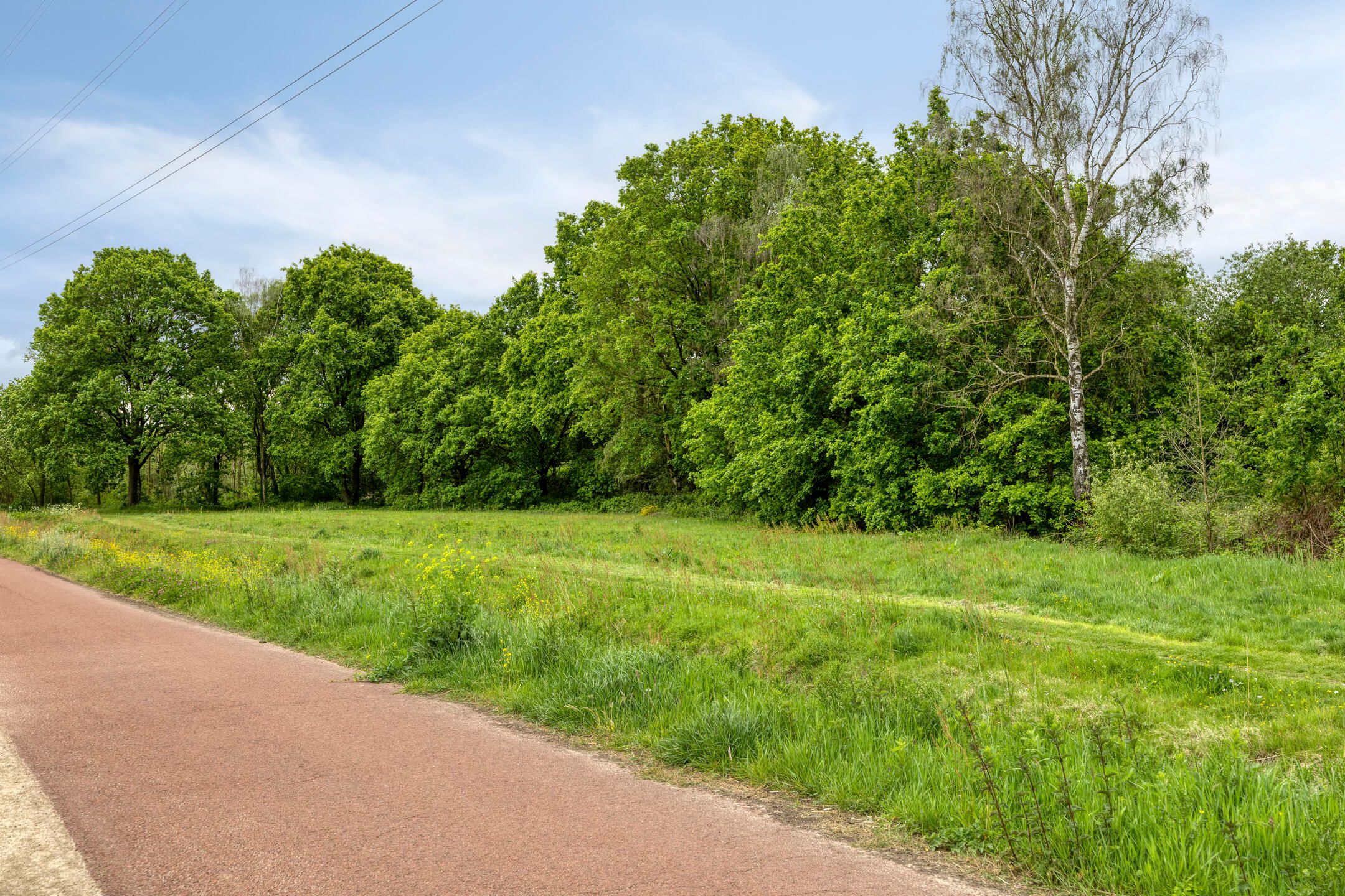 Photo 45 of Haringvliet 33