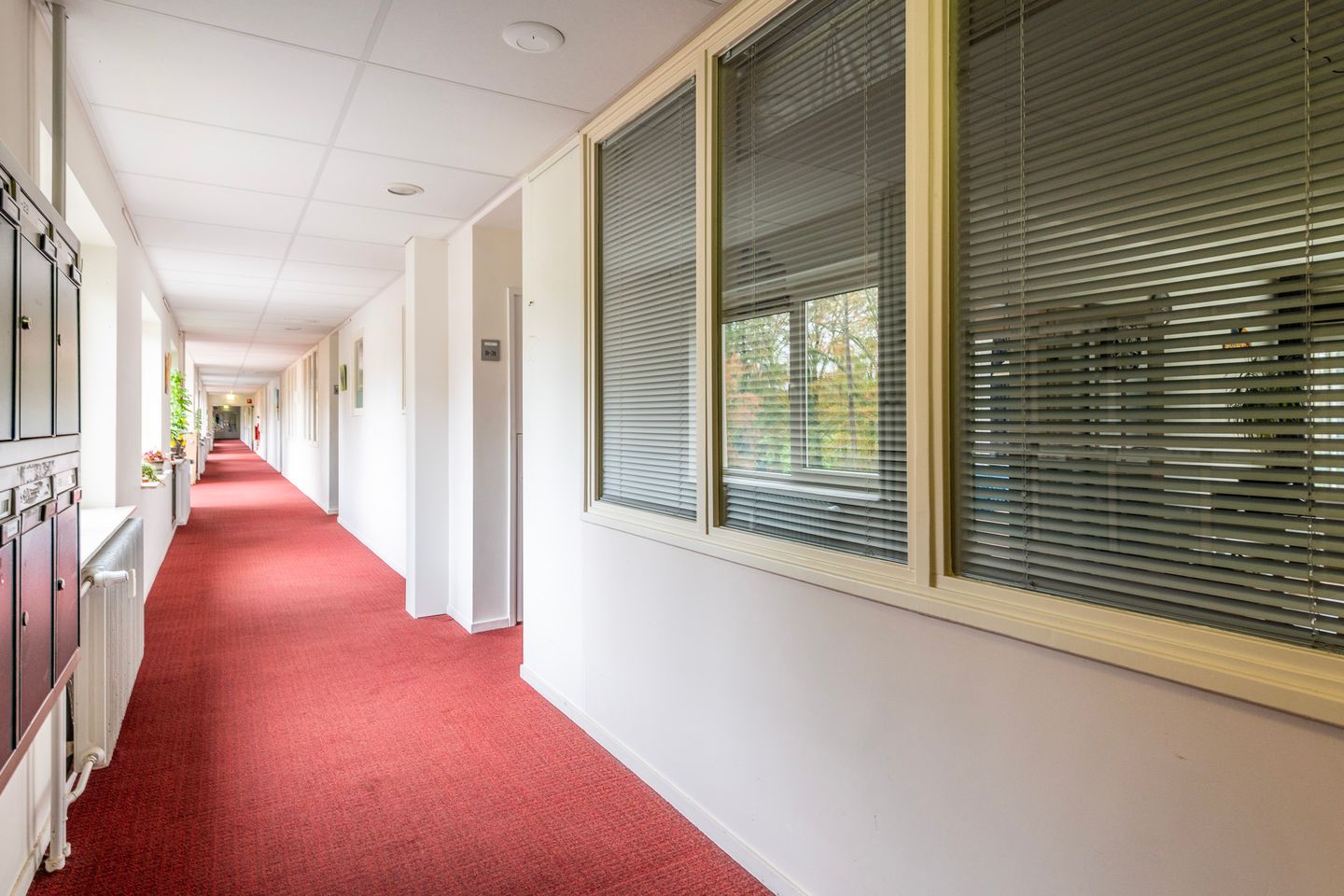 Foto 19 van Laan van Rijnwijk 1-B21
