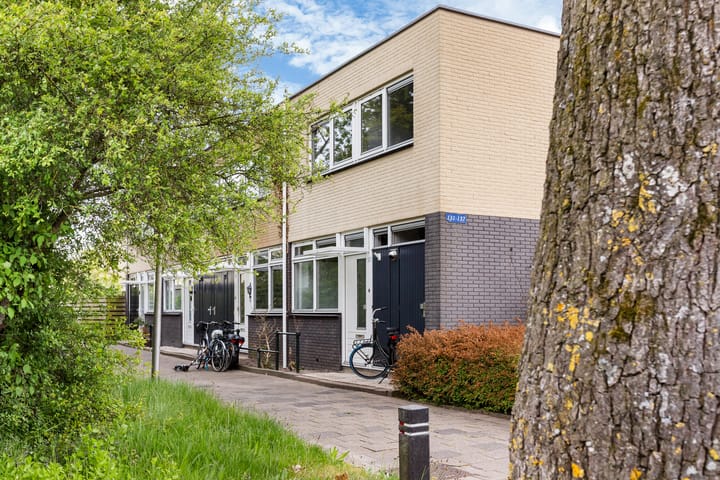 Tussenwoning te koop: de Hooidollen 137, Leeuwarden