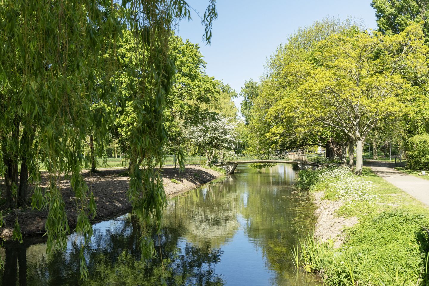 Foto 4 van Lohmanpark 30