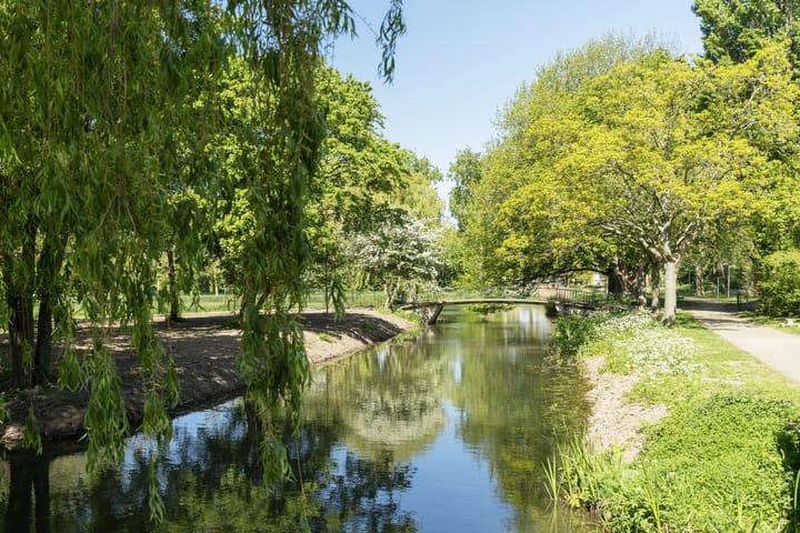 Foto 4 van Lohmanpark 30