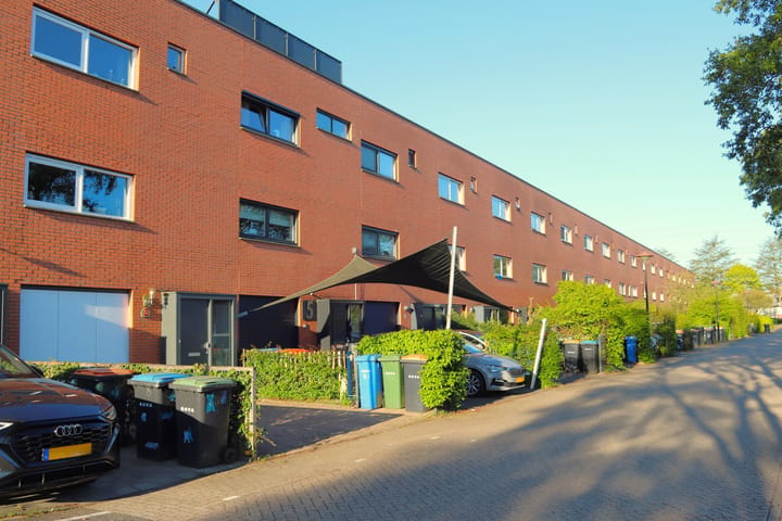 Foto 5 van Kikkerbeet 3