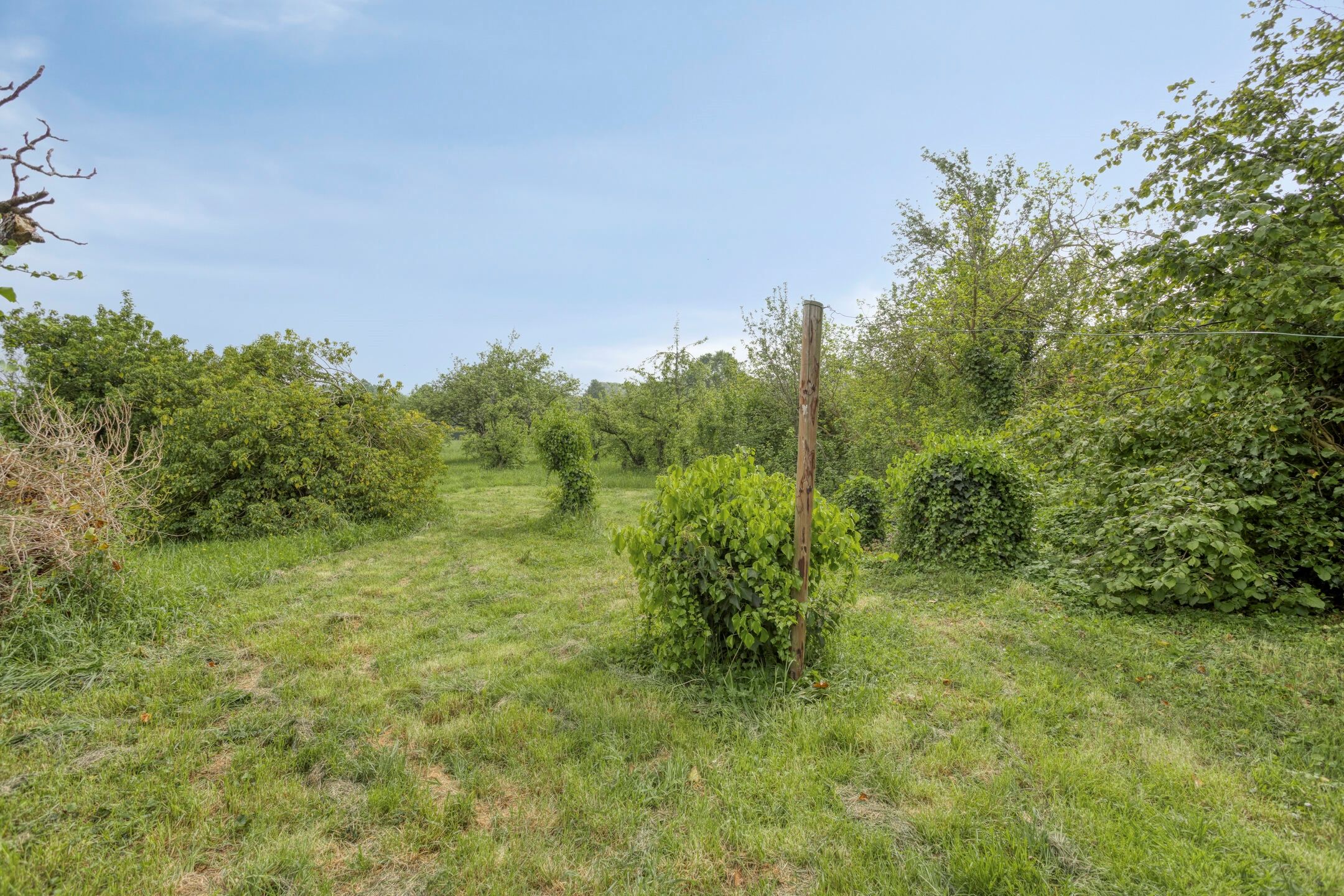 Photo 24 of Langeviele 52