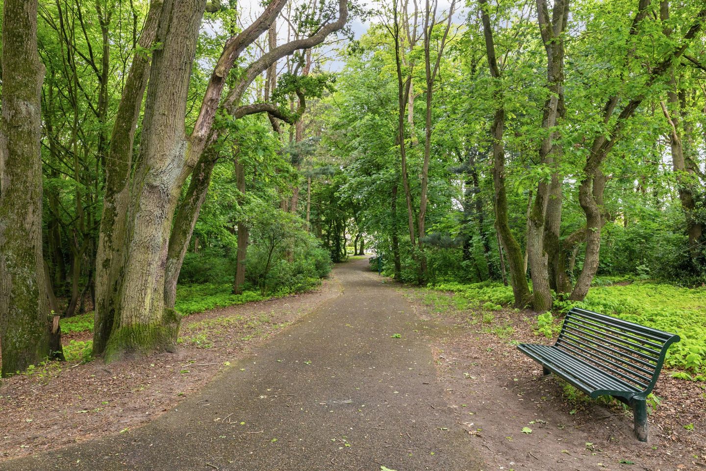 Foto 50 van Achter de Bergen 30