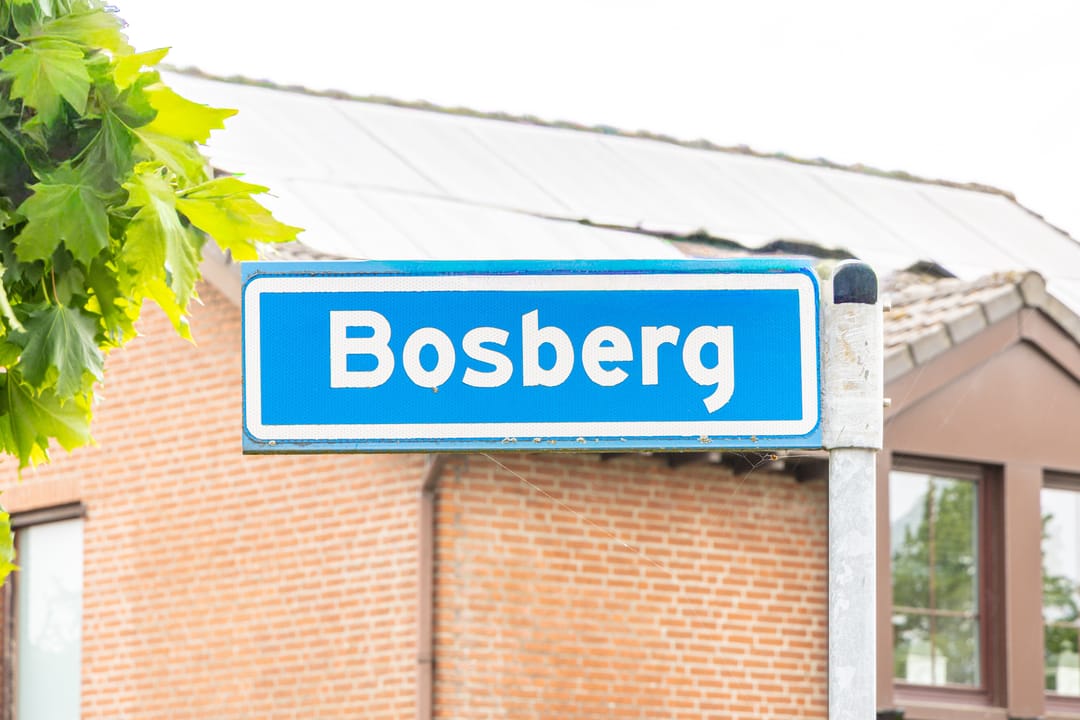 Foto 2 van Bosberg 4