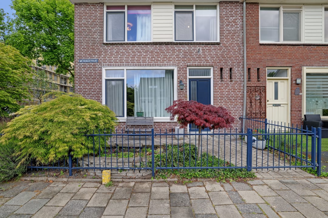 Foto 47 van Mesdagstraat 1