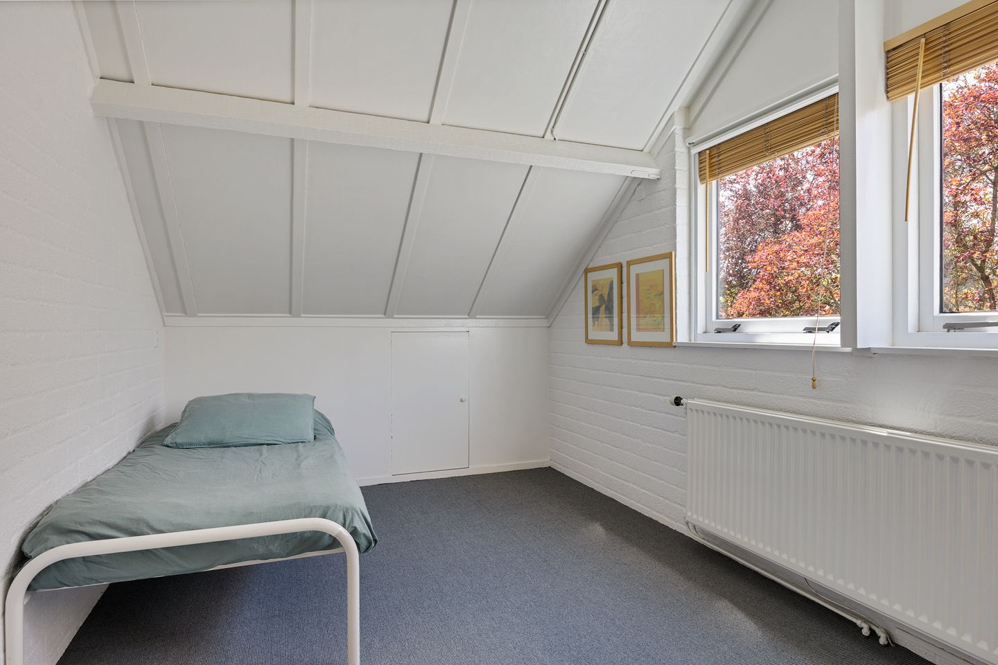 Photo 29 of Borgerbrink 25