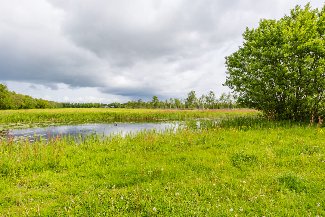 Photo 23 of Skûtsje 47