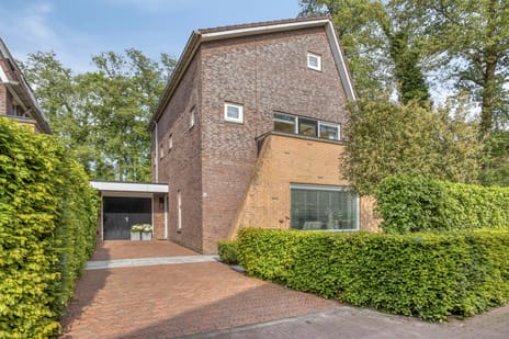 Elbertbos thumbnail