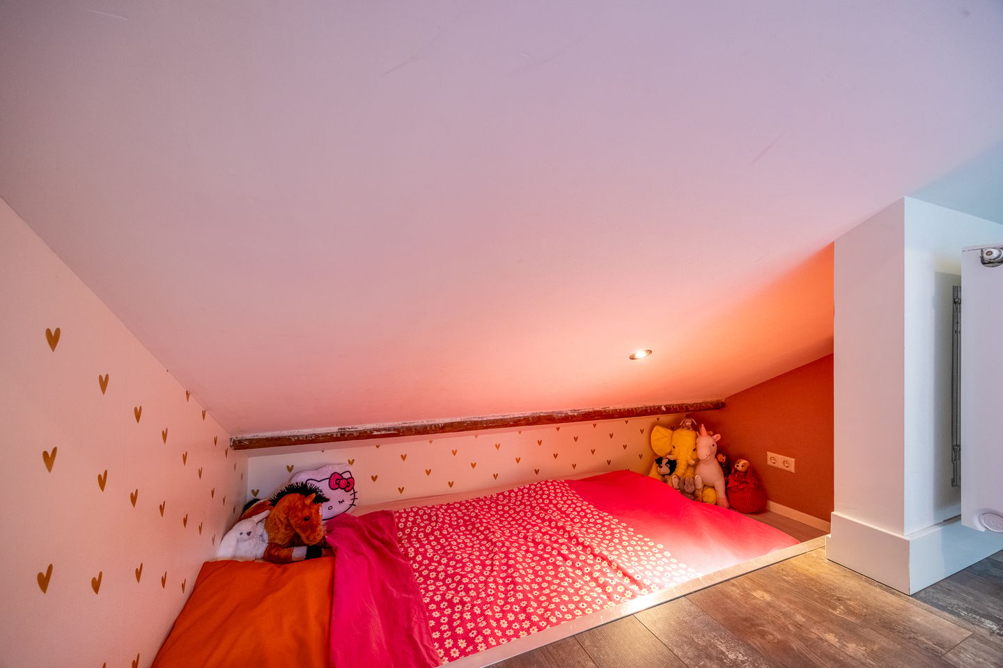 Foto 44 van Zuidereinde 33