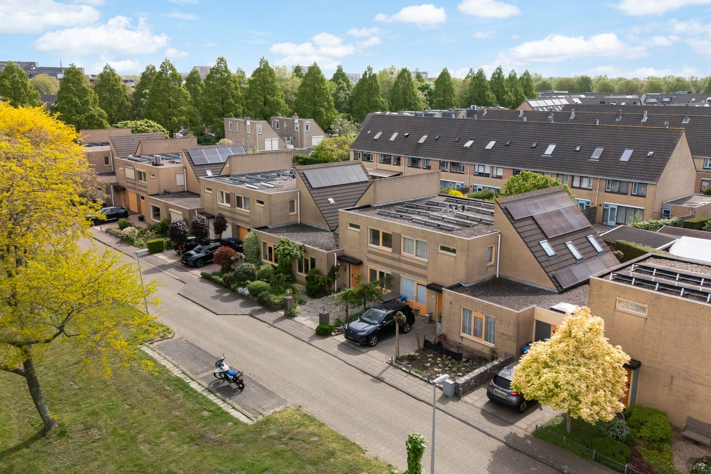 Foto 5 van Belgiëpark 6