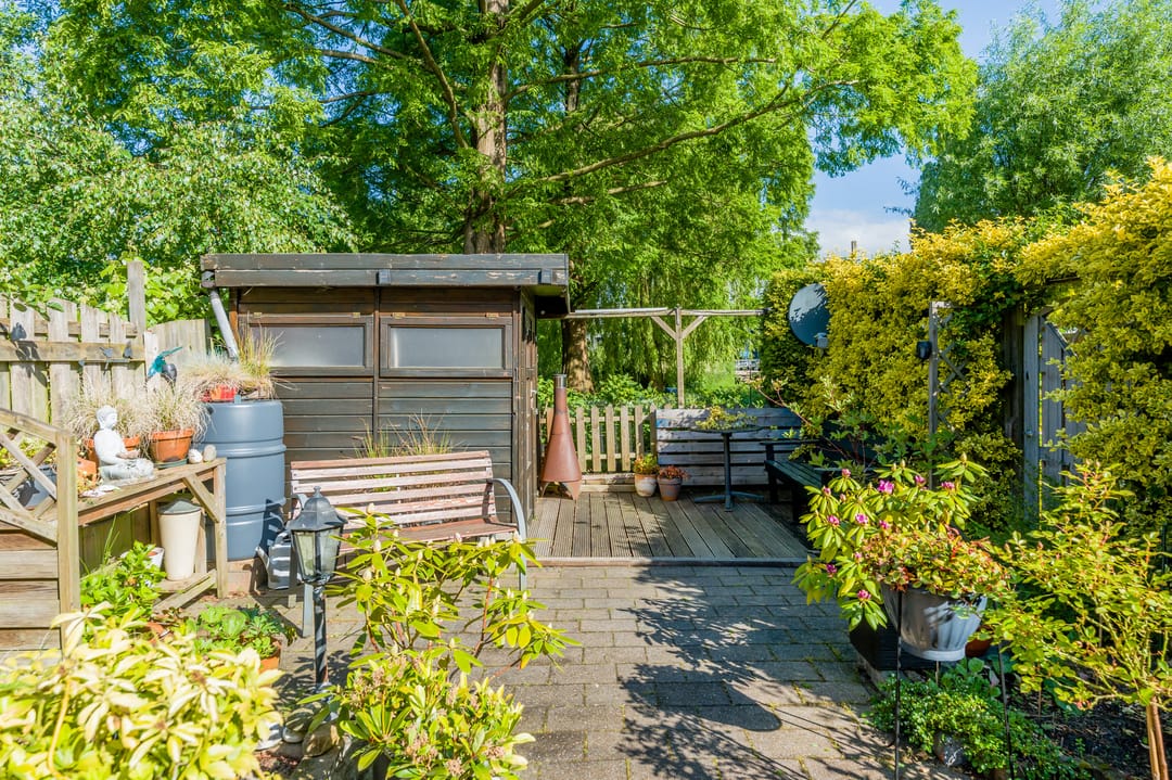 Photo 37 of Boekweitdonk 12