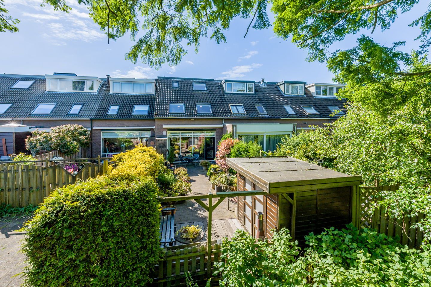 Photo 34 of Boekweitdonk 12