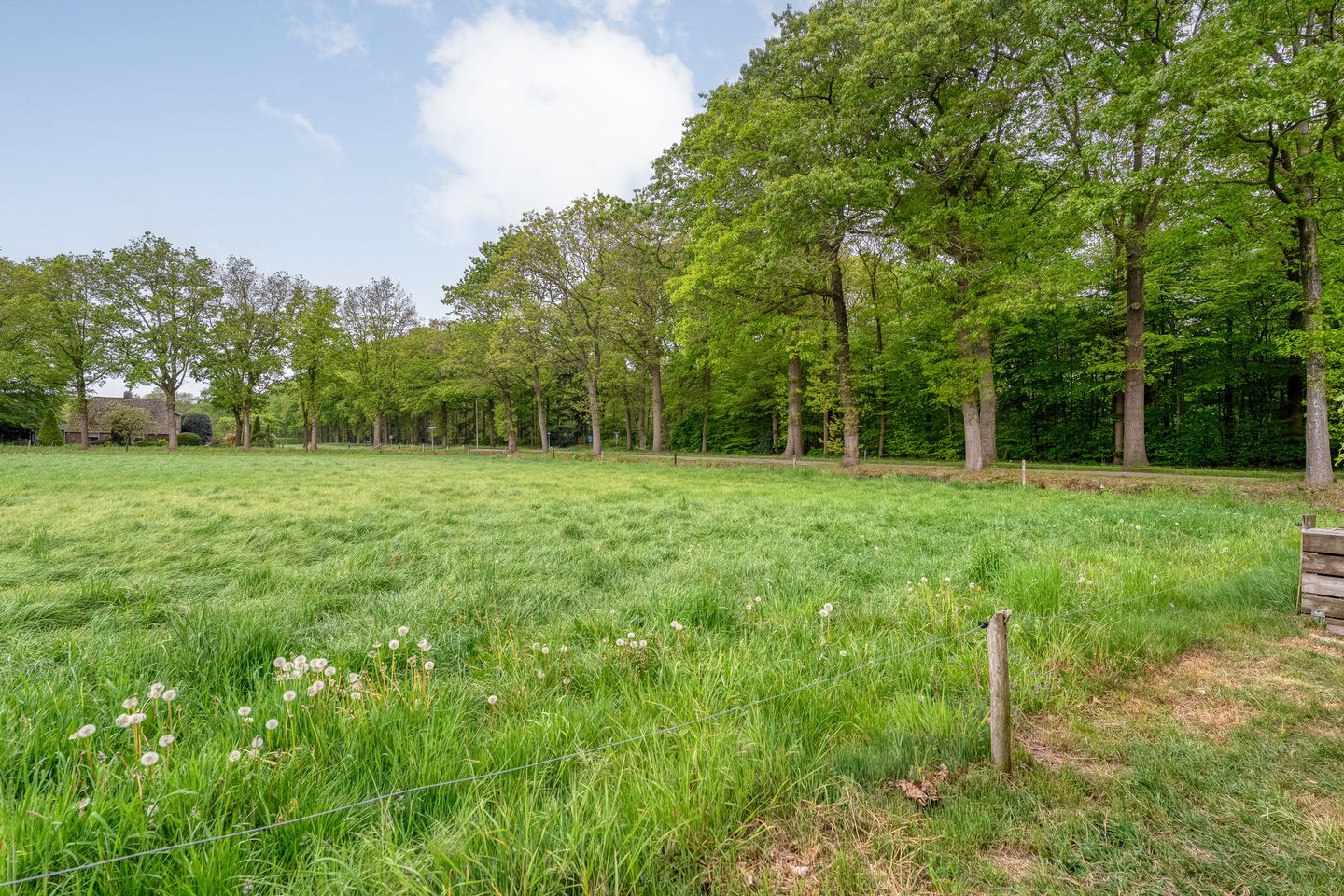 Photo 65 of Tolhuisweg 28