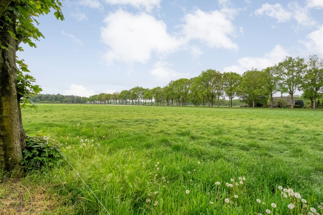 Photo 67 of Tolhuisweg 28