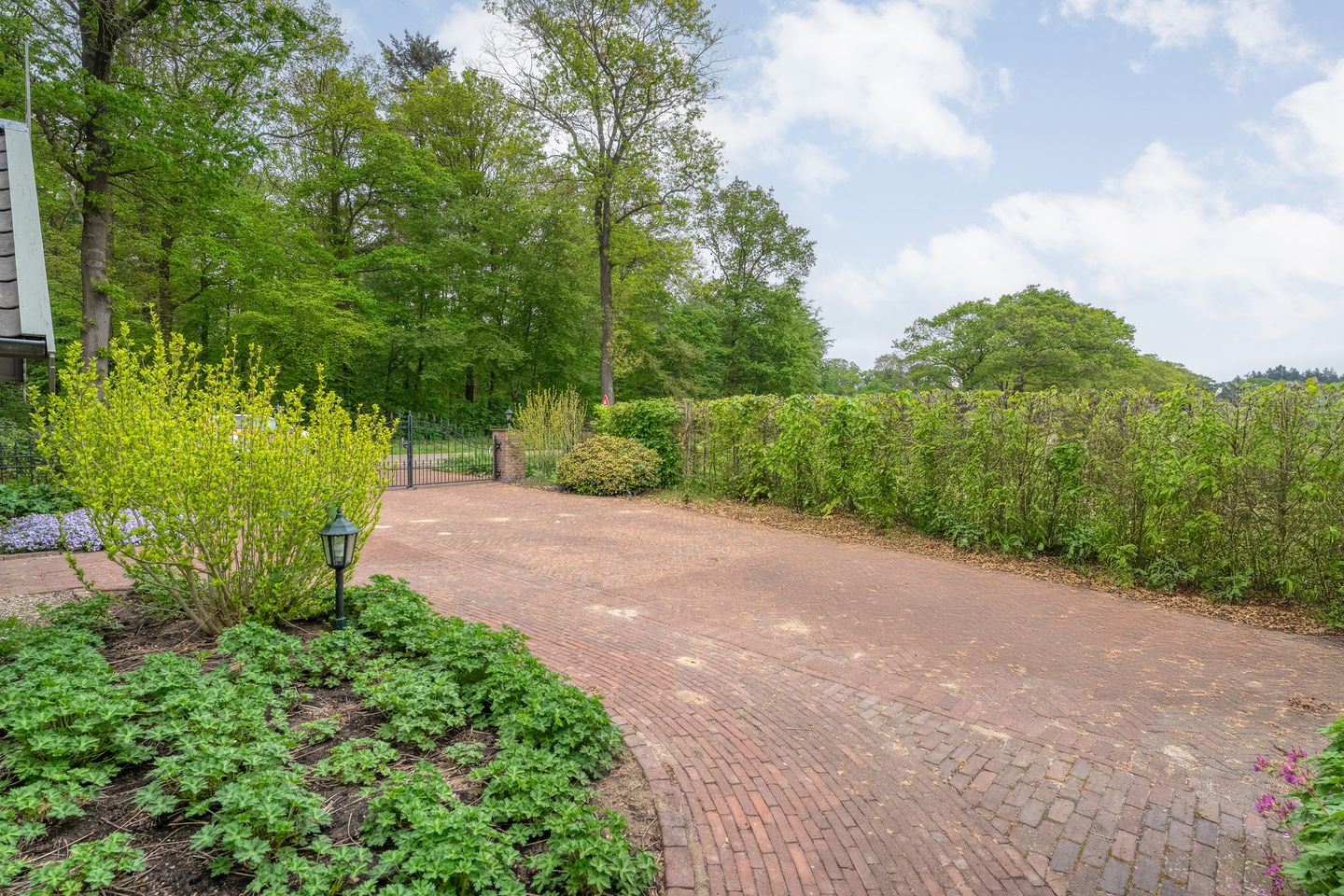 Photo 59 of Tolhuisweg 28