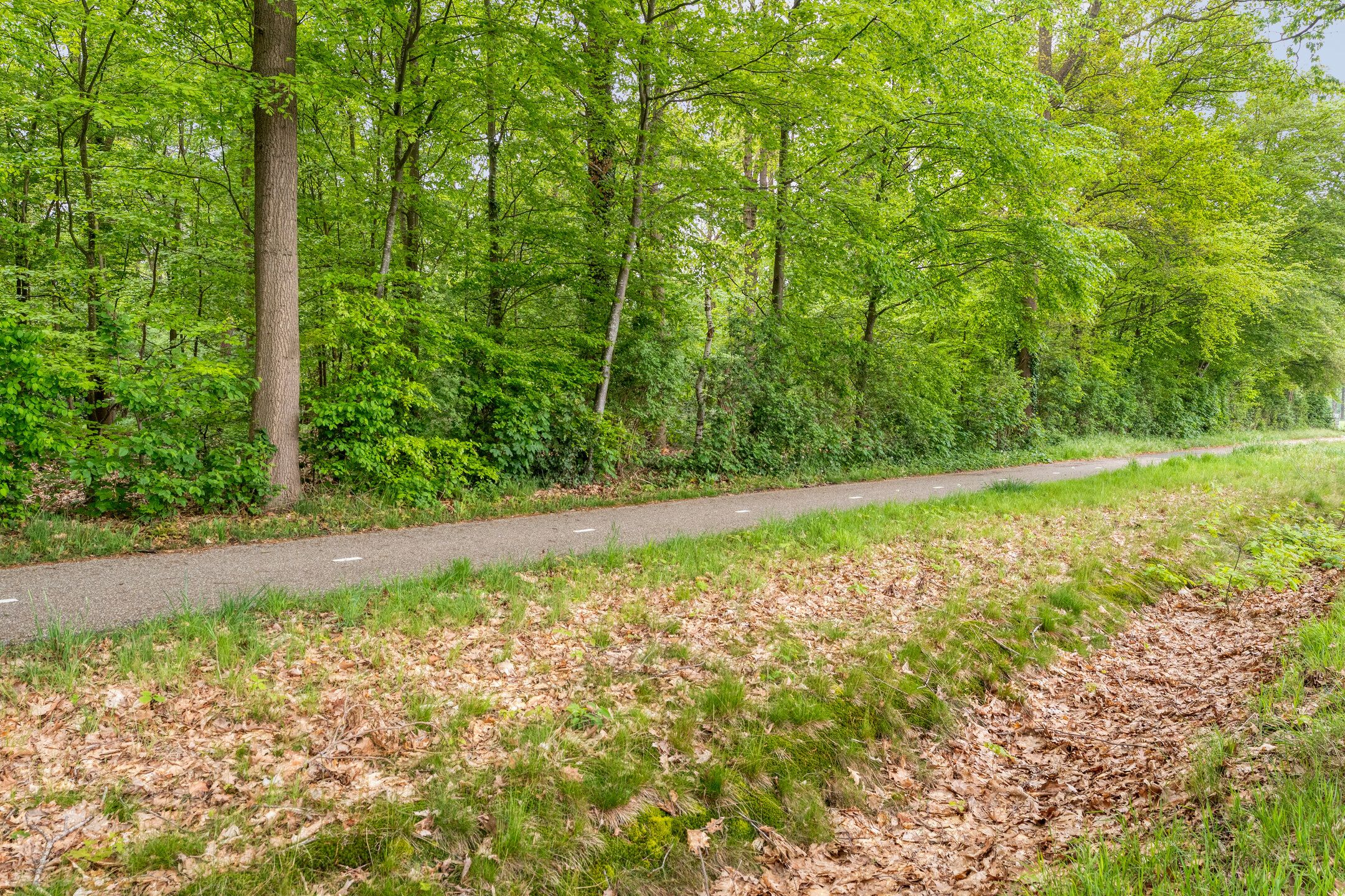 Photo 66 of Tolhuisweg 28