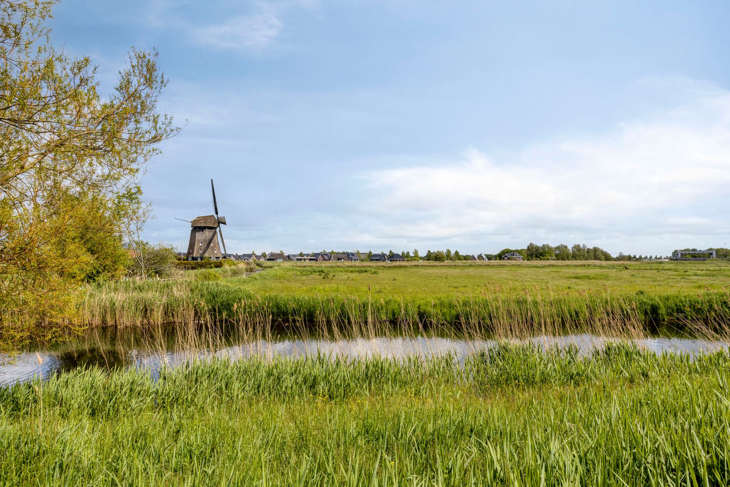Photo 40 of Dijk 44