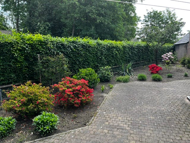 Foto 51 van De Misse 1