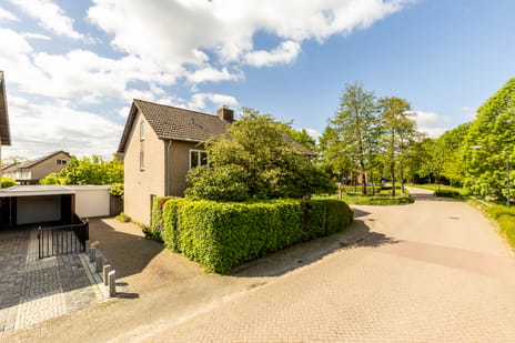 Biestakkerstraat thumbnail