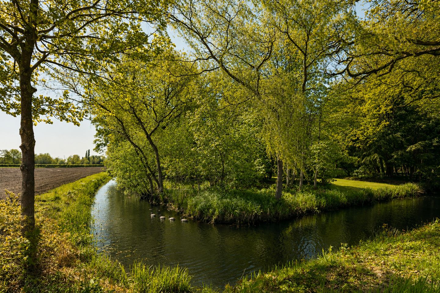 Oirschotseweg 12 - Moergestel - Afbeelding 7