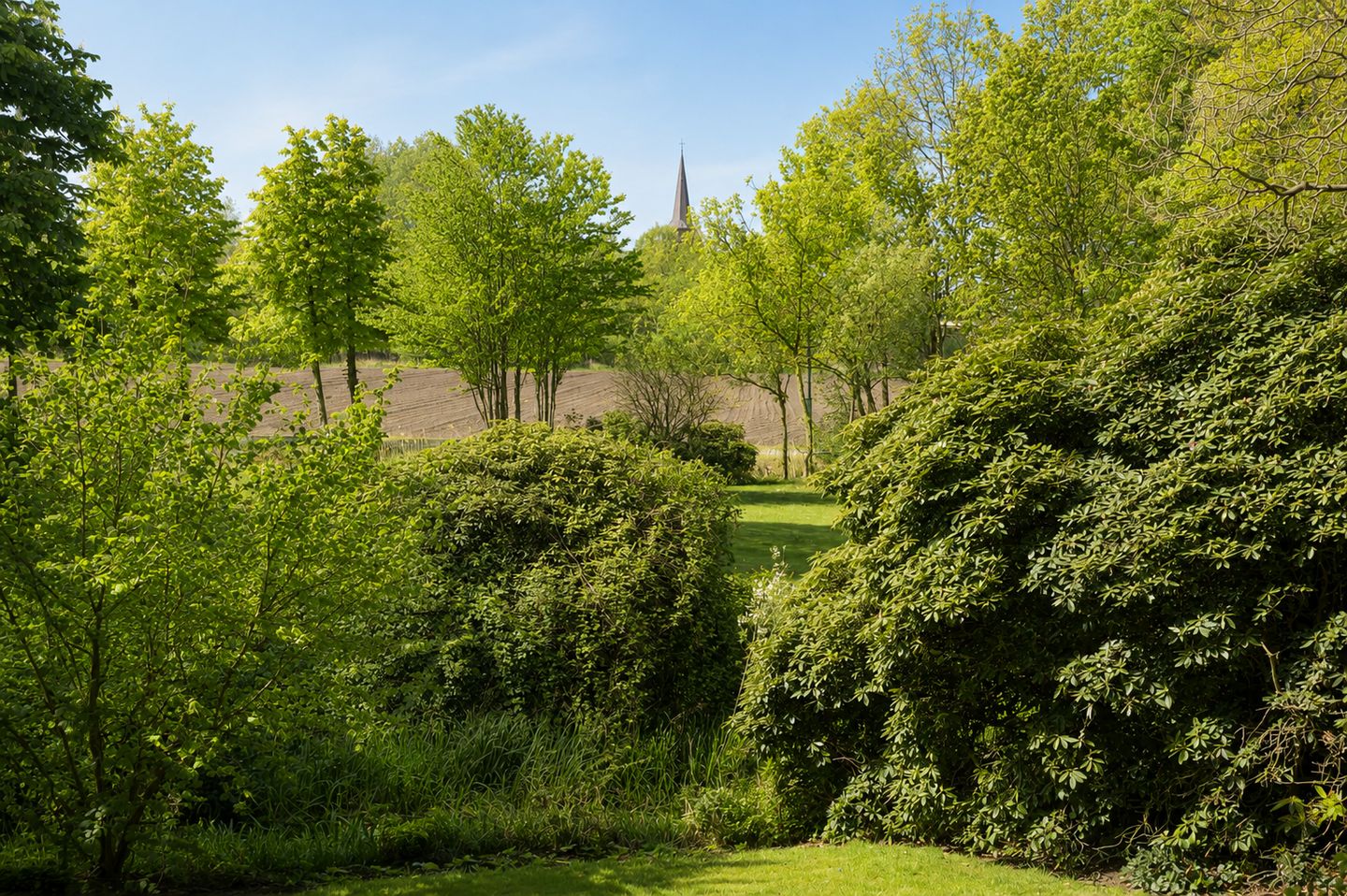 Oirschotseweg 12 - Moergestel - Afbeelding 6