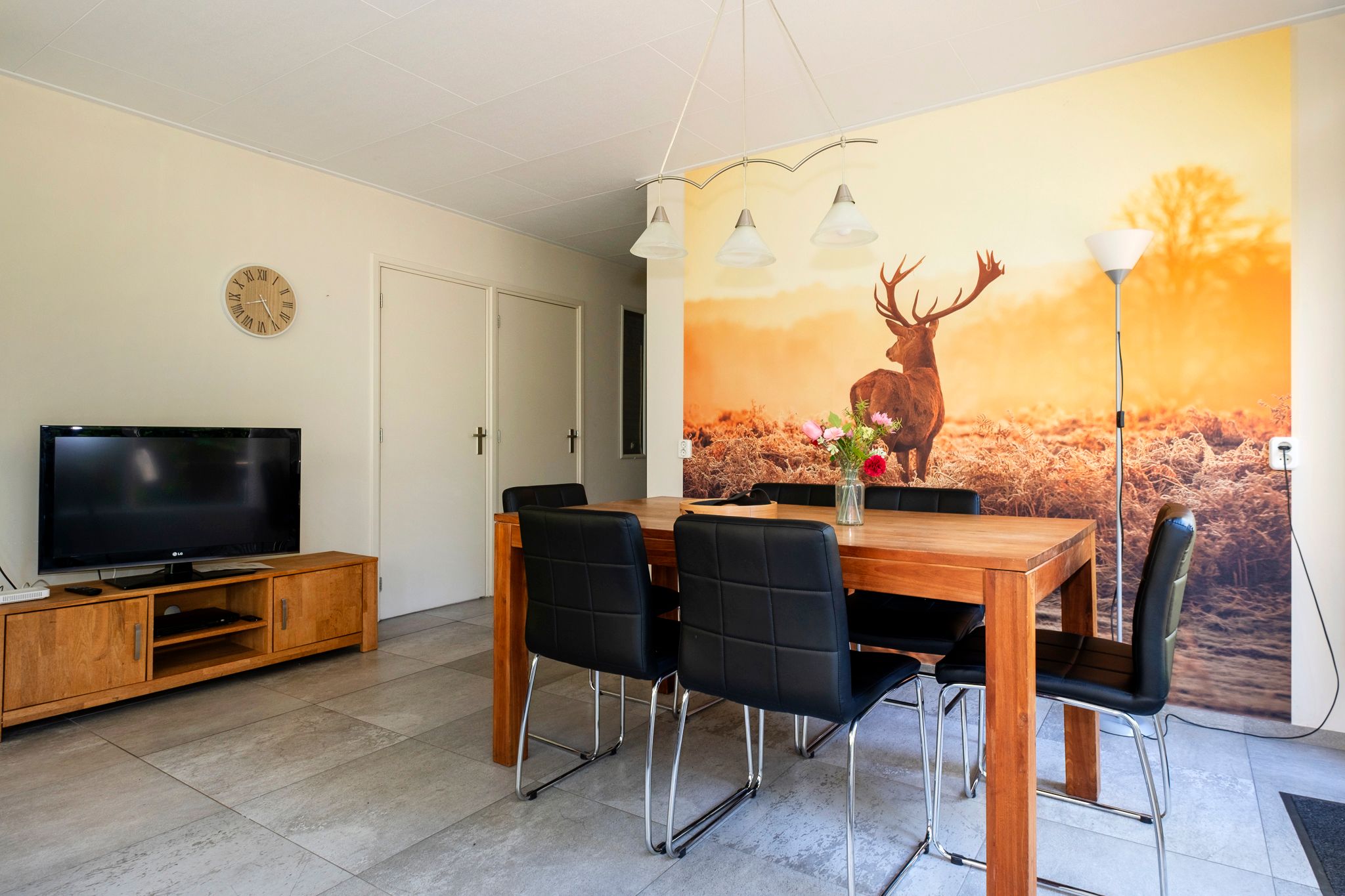 3-bedroom freehold villa in Spier (Gem. Midden-Drenthe) — photo 5 of 5