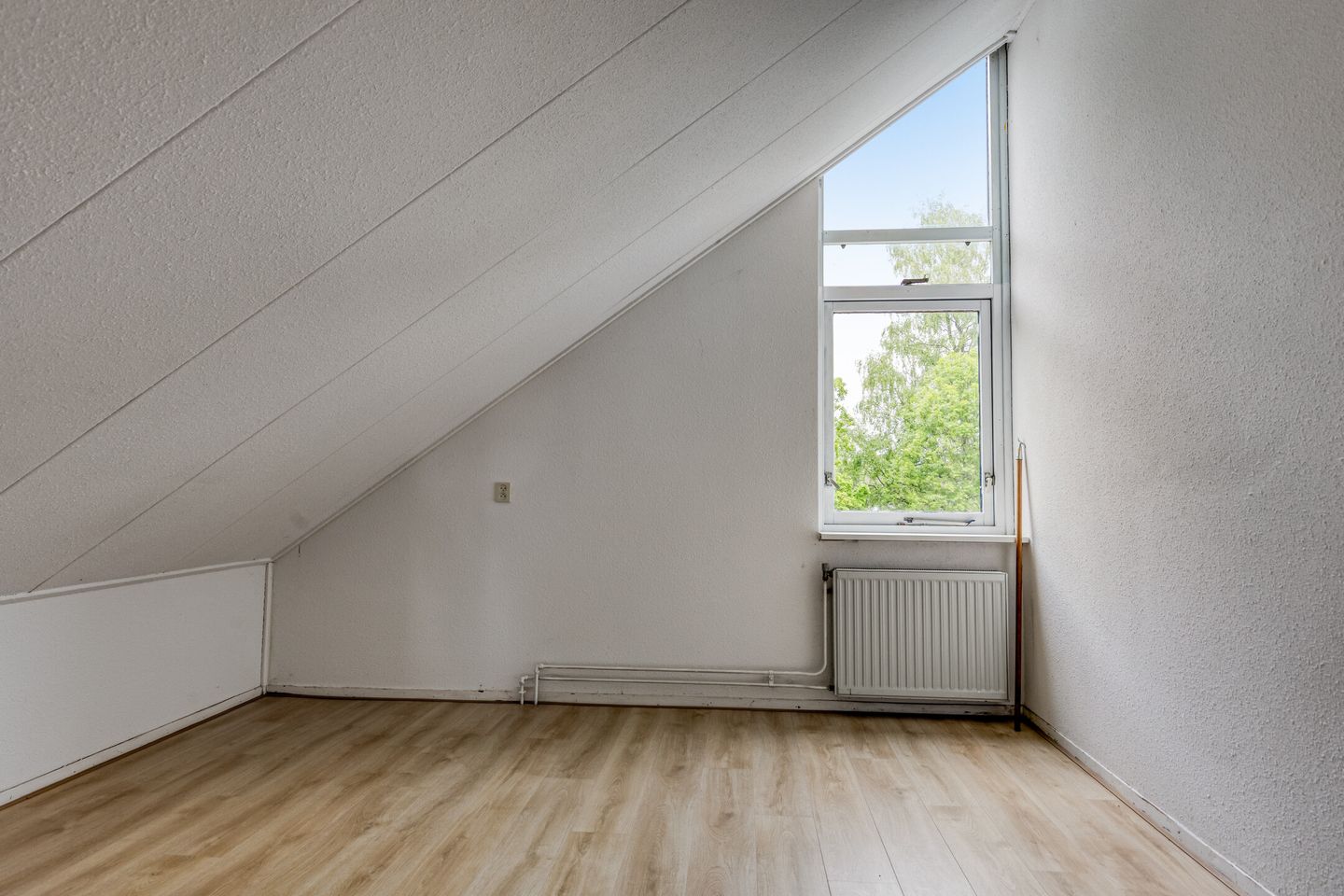Photo 19 of Ruiterakker 149
