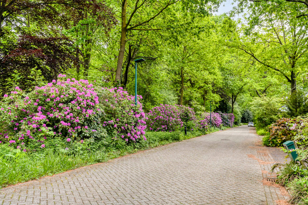 Photo 7 of Hollandse Tuin 27