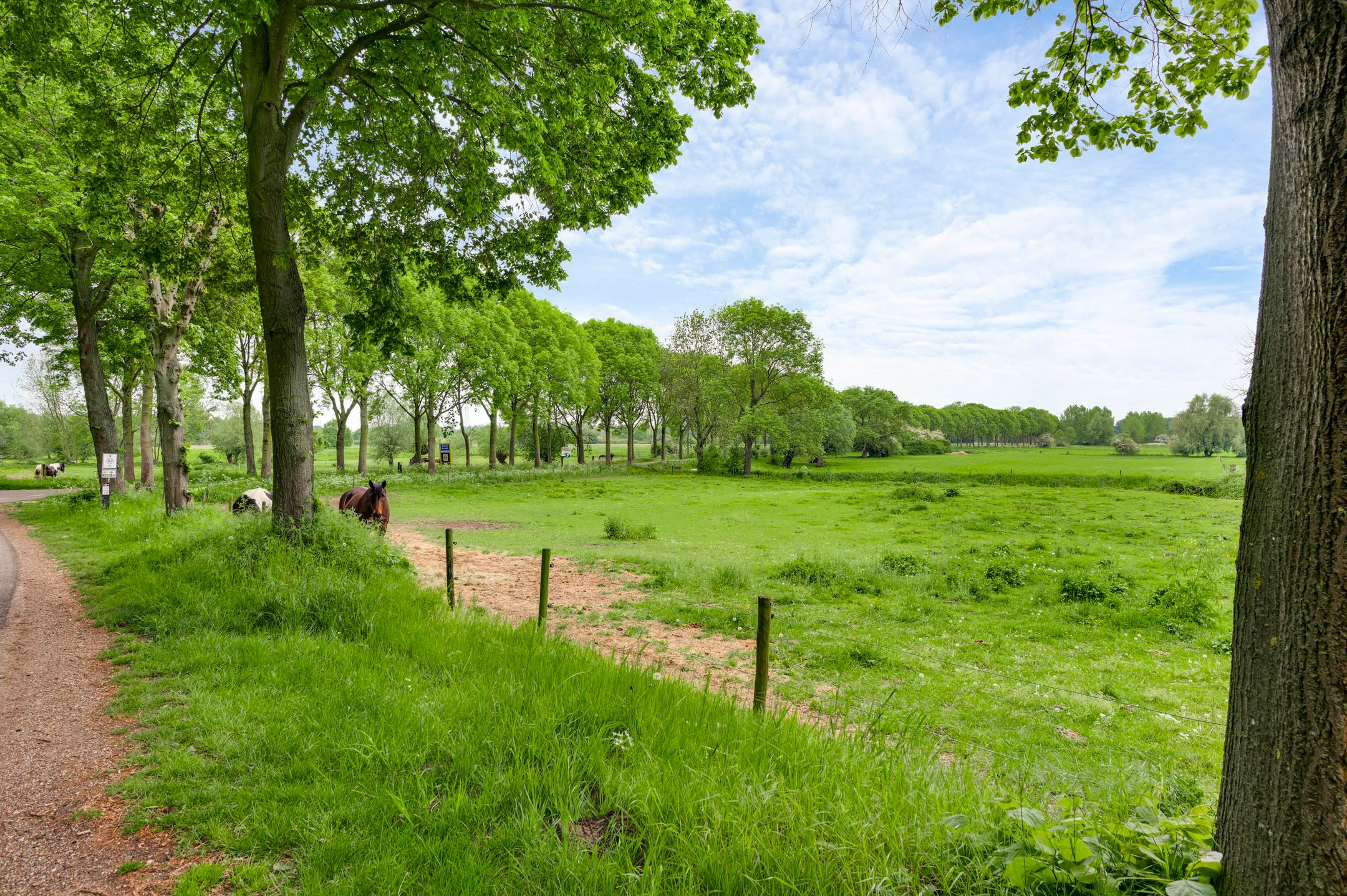 Photo 18 of Pastoor Pinckersstraat 28