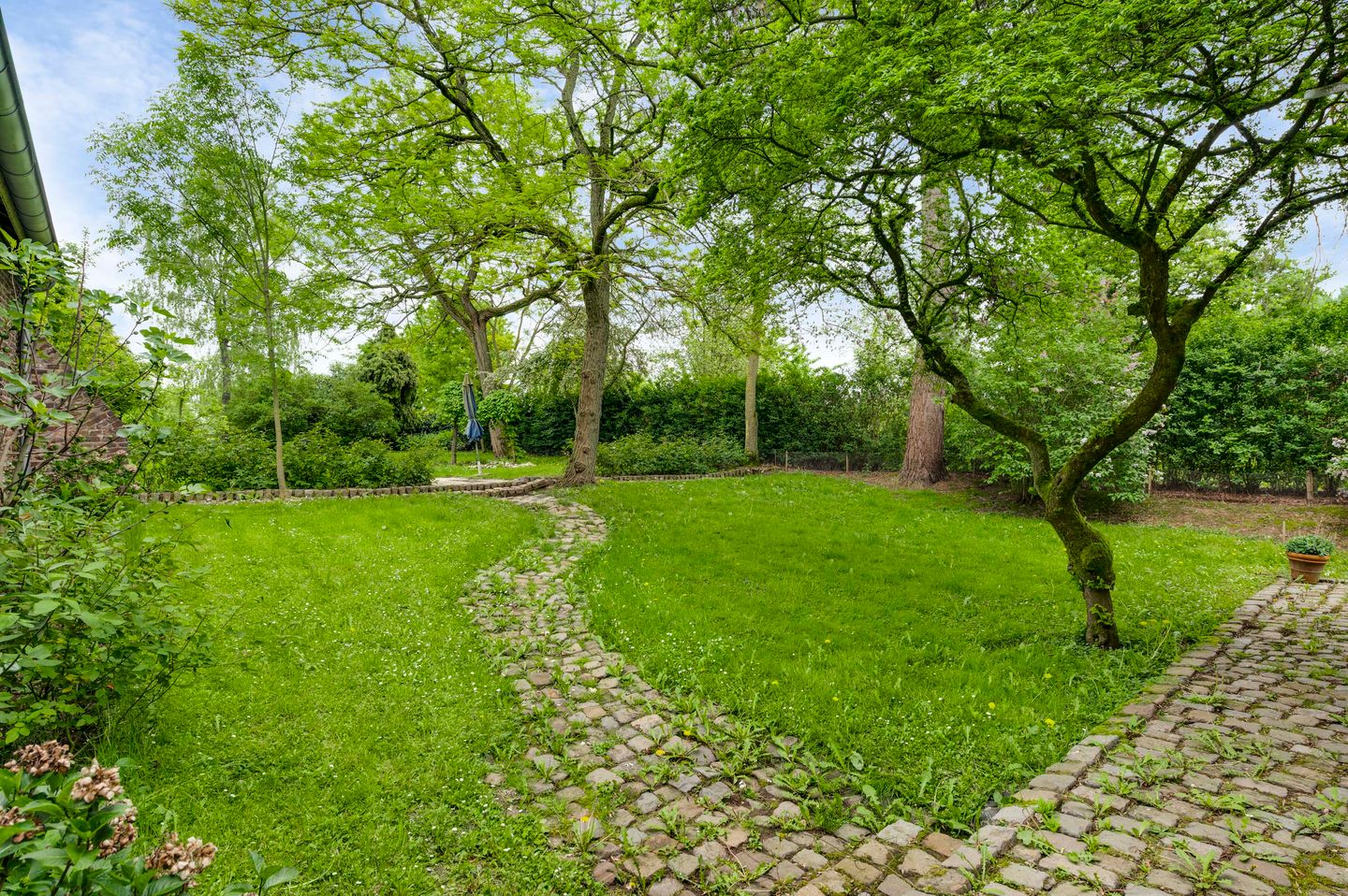 Photo 44 of Pastoor Pinckersstraat 28