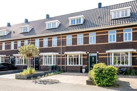 Braambergerhout thumbnail