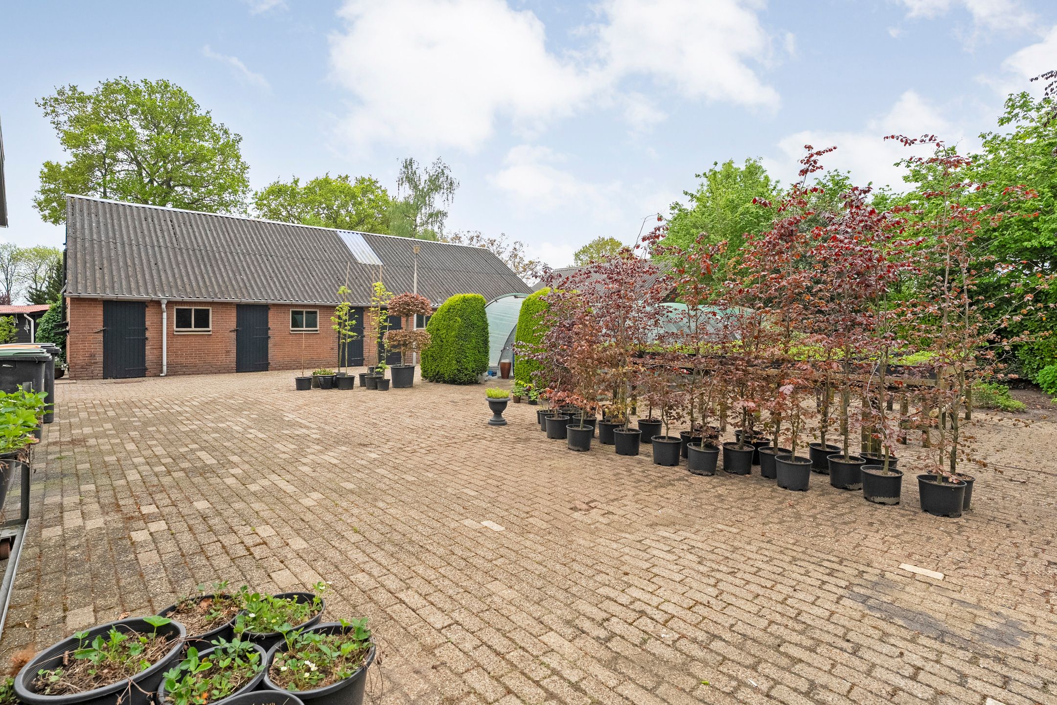 Foto 42 van Oosterveen 57