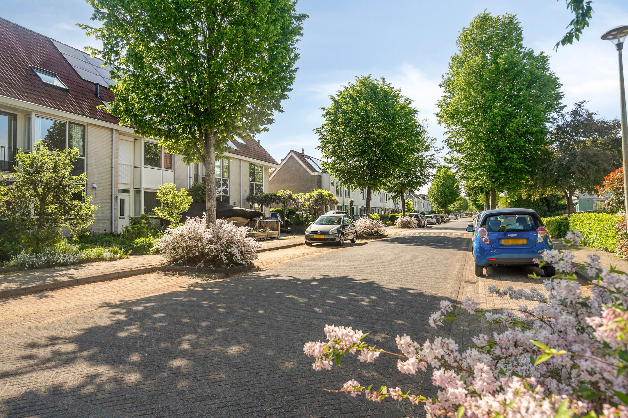 Photo 9 of Windbaan 116