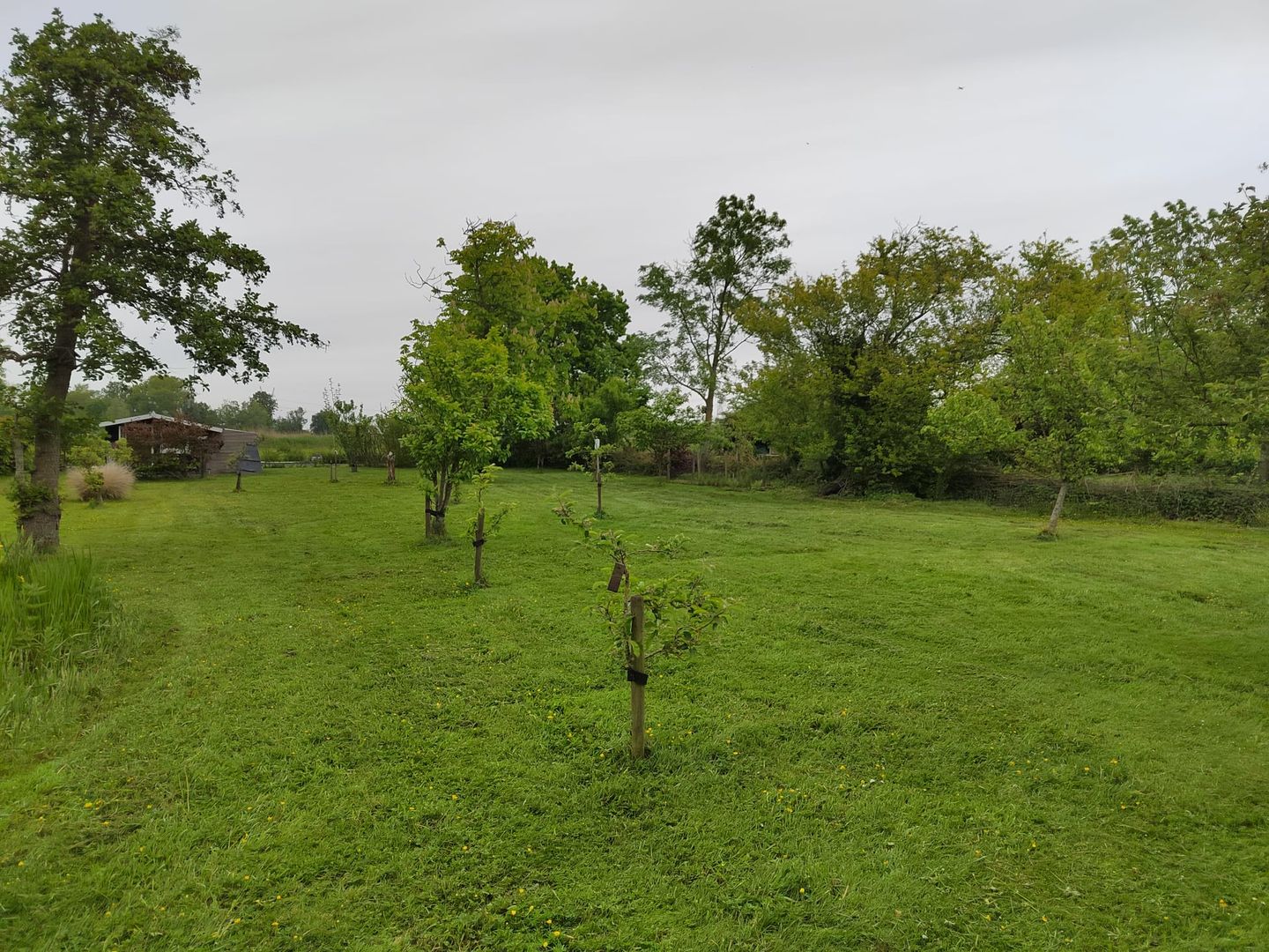 Photo 4 of Eilandspolder 13 - kavels 410 + 1149