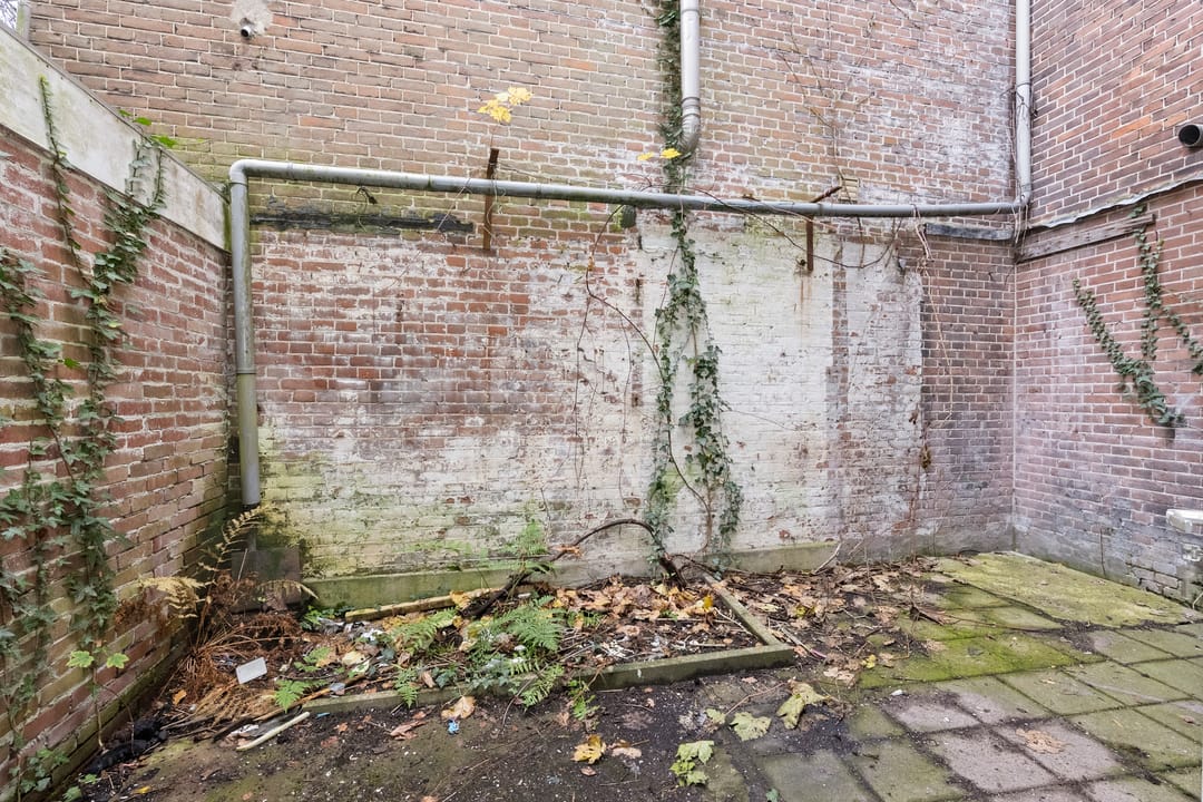 Foto 8 van Berckheydestraat 14-ZW