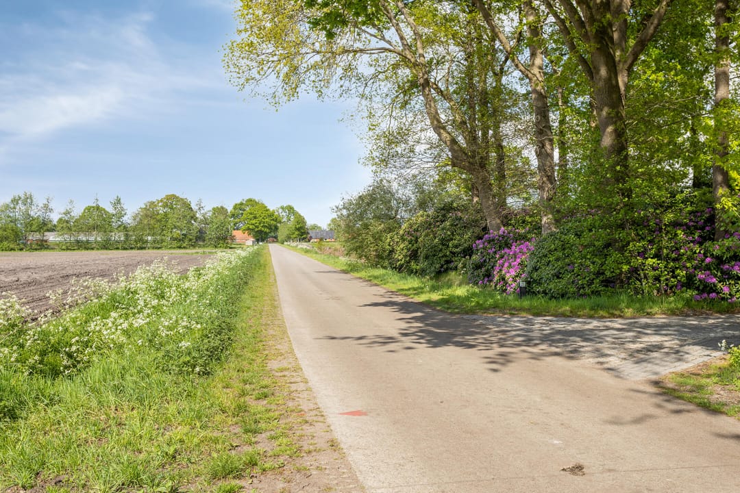 Foto 53 van Witteweg 33