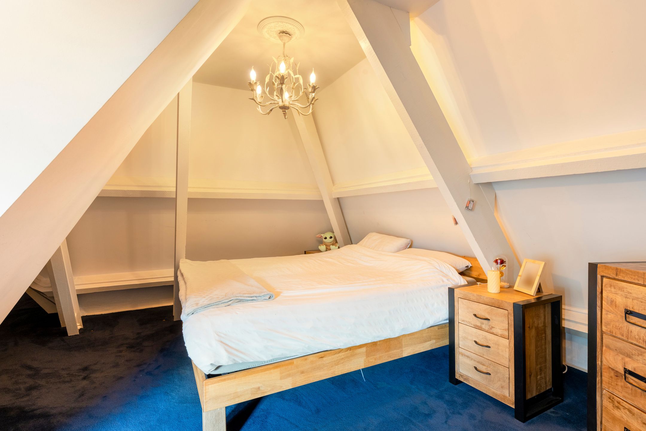 Foto 42 van Vondellaan 34