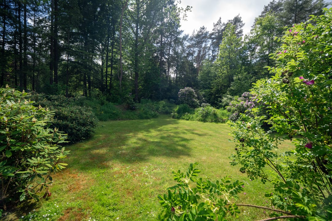 Photo 37 of Berkenlaan 4