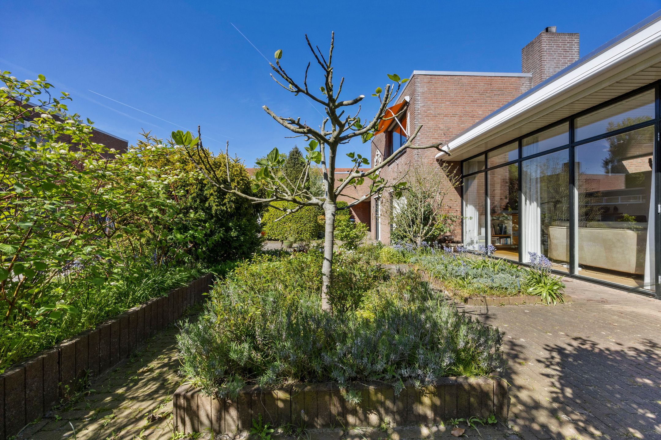 Photo 36 of Professor Schlichtingstraat 5