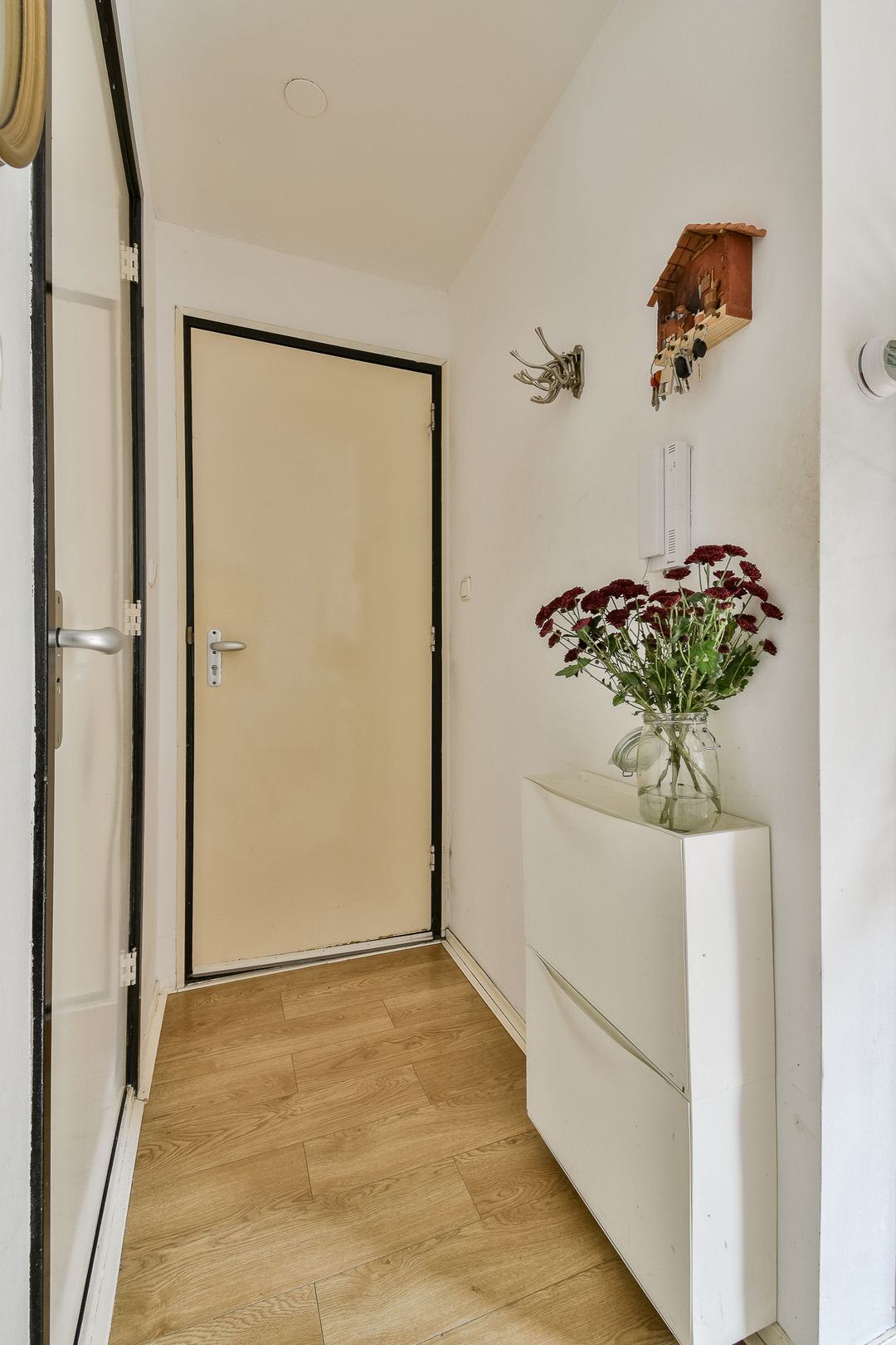 Photo 11 of Fannius Scholtenstraat 66-1